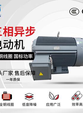 三相异步电机YE3-250M-8极全铜马达卧式30W380V机械用电动机