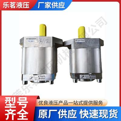 ECKERLE艾可勒小型高压液压泵EIPH6系列EIPH6-125RP30-X1液压油泵