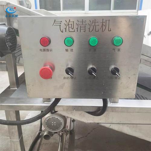 果蔬气泡清洗机水果蔬菜清洗设备全自动大型商用连续大枣清洗机