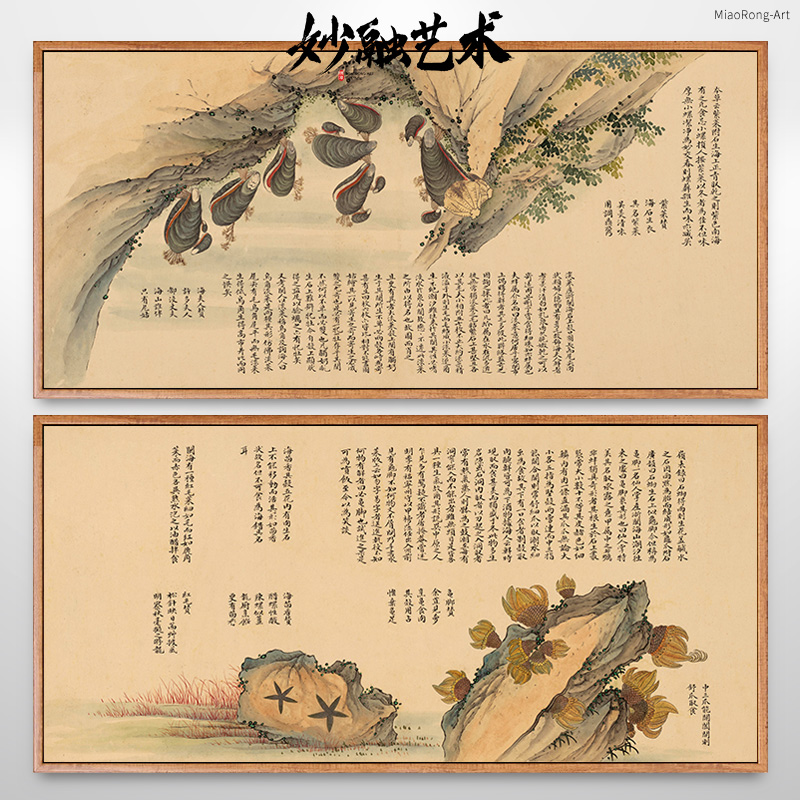 海错图海洋生物贝壳类壁画新中式海鲜餐厅装饰画饭店走廊过道挂画图片