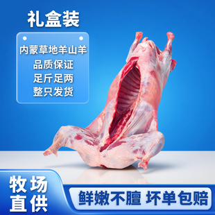 内蒙古特产全羊整只礼盒装新鲜散养现杀羊肉全羊整只草原羊肉包邮