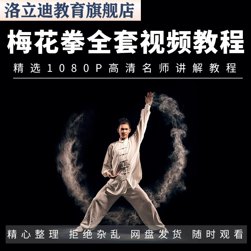 五势五式梅花桩拳梅拳梅花拳学习教学视频健身运动教程课程