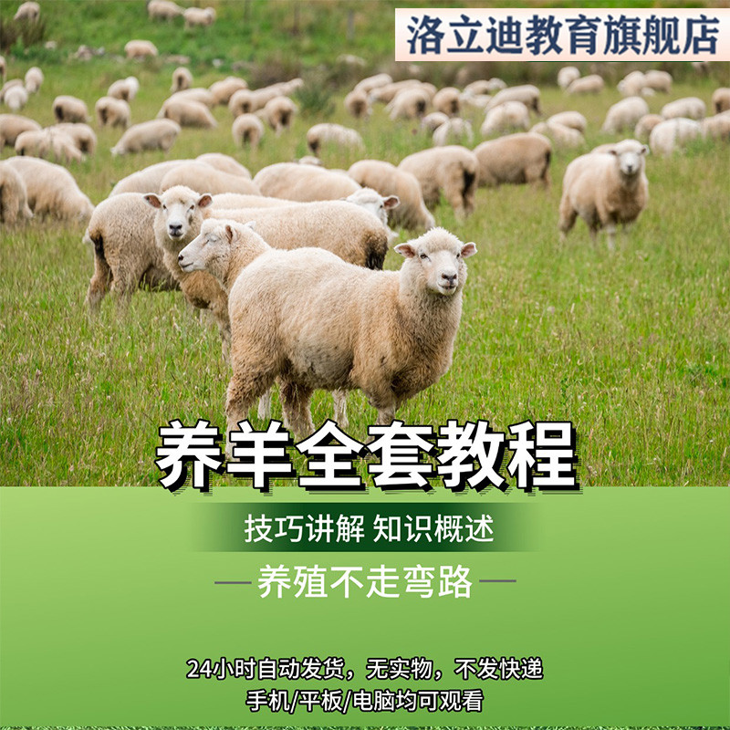 养羊全套技术教程视频资料素材讲解养殖场技巧指导过程上手快