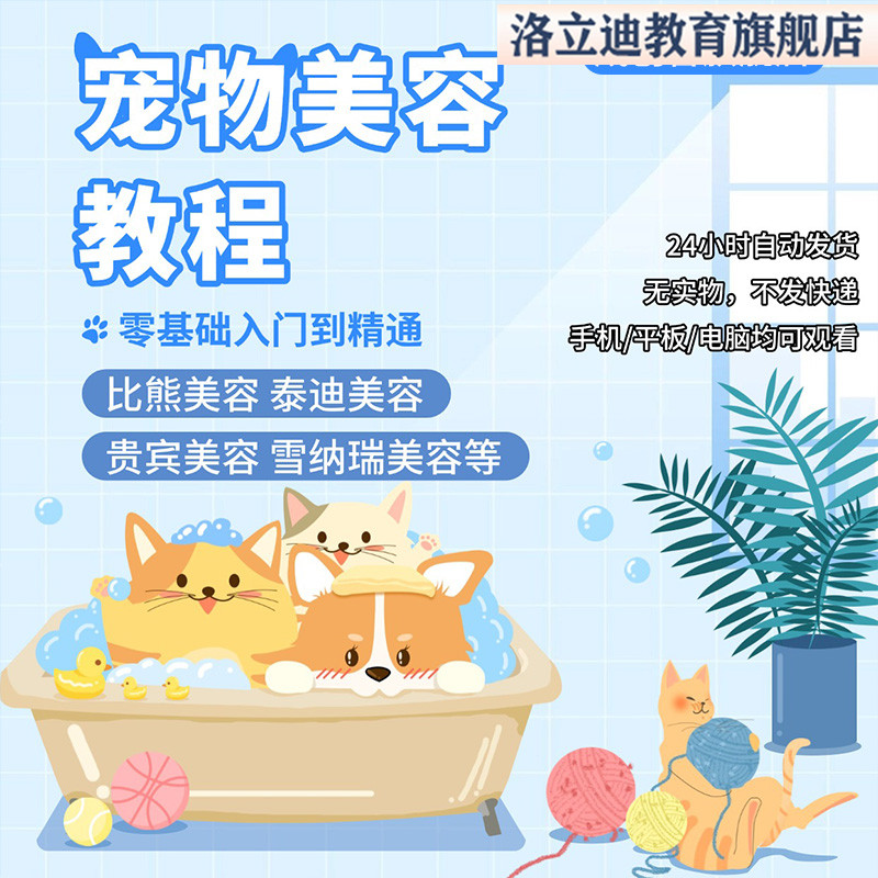 宠物美容视频教程自学泰迪狗狗修剪修毛造型洗澡护理教学课