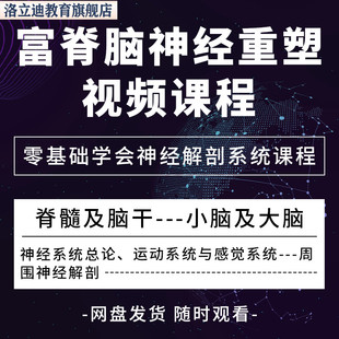 富脊脑神经重塑零基础学会神经解剖系统课程脊髓及脑干
