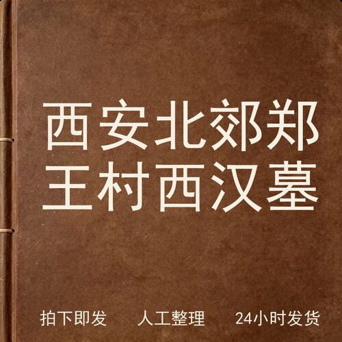 西安北郊郑王村西汉墓考古人文兴趣参考电子版