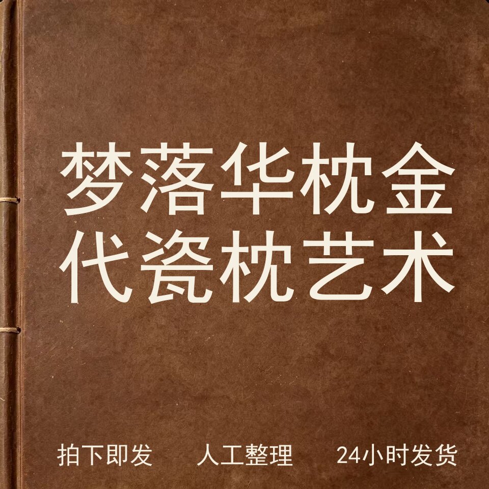 梦落华枕 金代瓷枕艺术古器物文艺兴趣参考电子版
