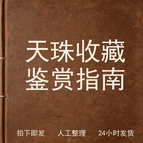 天珠收藏鉴赏指南文史人文兴趣参考电子版