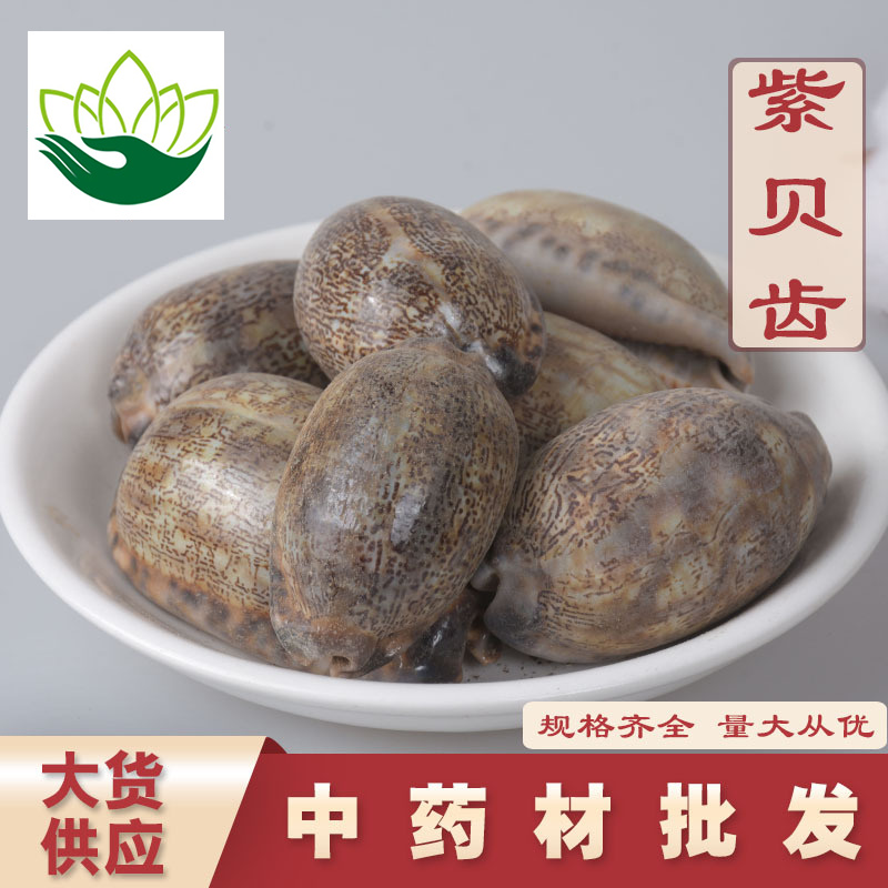 中药材一站式批发紫贝齿品种齐全