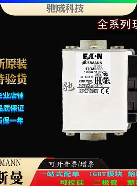 巴斯曼170M5588170M5589170M5590加工制作零售快熔保险丝