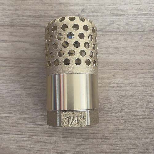 全铜网铜底阀吸水泵弹簧立式止回阀防倒流立式底阀DN20dn25井底阀