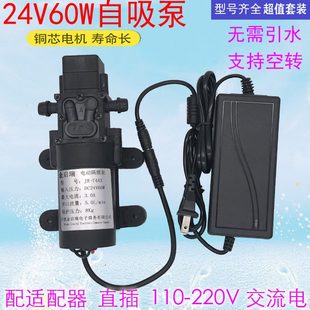 24V微型增压泵小型220V60W自吸抽水高压水泵家用净水机直流抽水机