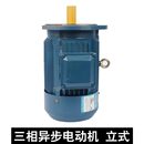 电机立式 132M 4三相异步电动机7.5KW卧式 马达Y132M YX3 YE2