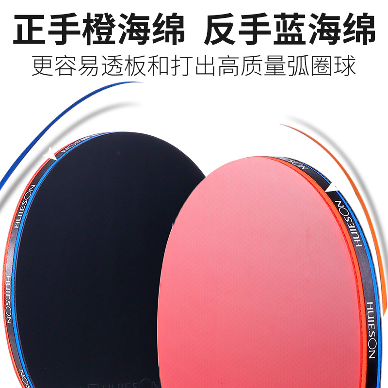 辉胜乒乓球拍专业级8星单拍黄檀木碳素 长短柄底板粘性反胶胶皮