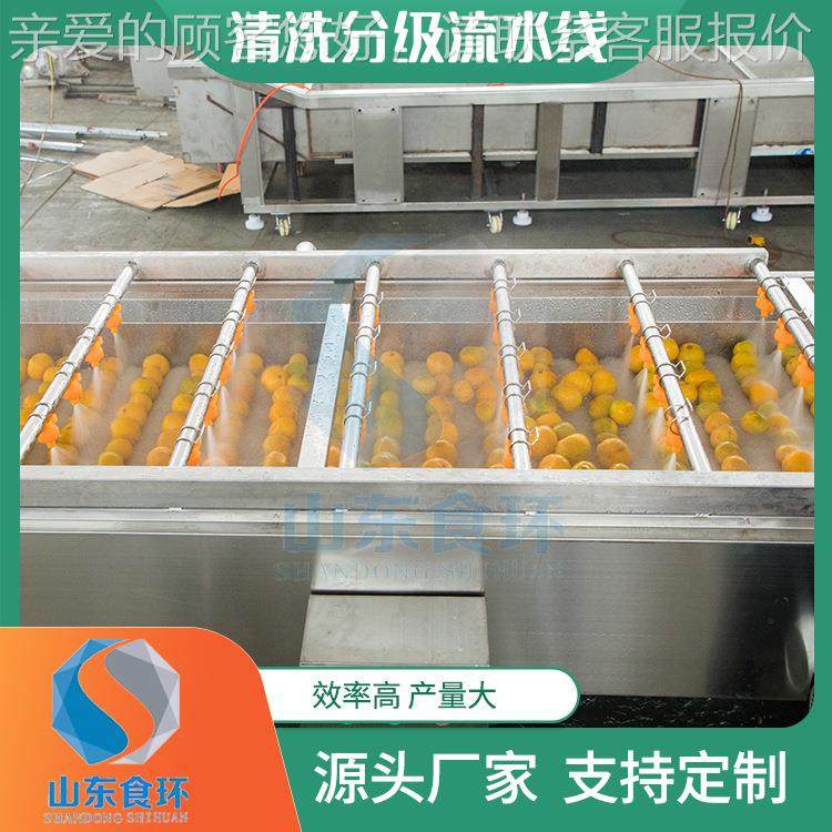 水果清洗分级流水线 红重薯土分机 砂糖橘自豆动称分选HZV级机设,清洗/食品/商业设备,果蔬加工设备,淘宝优惠券,粉丝福利购,淘宝优惠卷