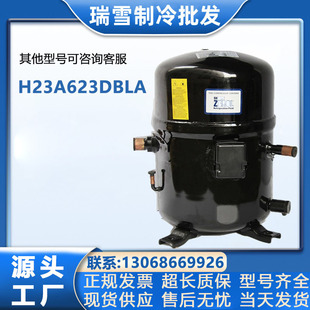 适用于美国布里斯托 H23A623DBLA 制冷压缩机