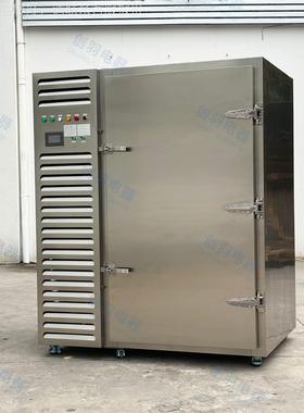 道式海柜YYI鲜牛肚肉丸鱼丸调温理品大隧型超低零下80度极速速冻