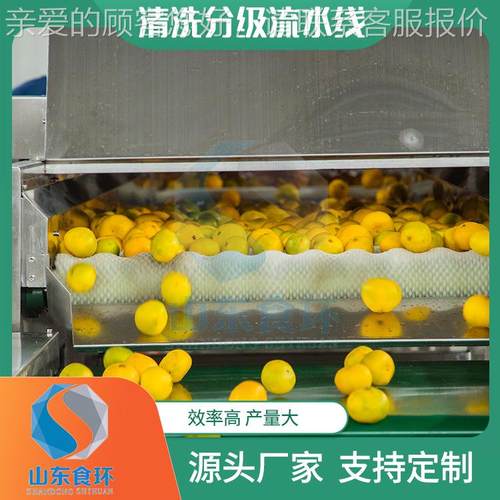 果分拣机 土豆枝田螺XUU芒筛果火龙果分蔬级机 荔选设备果蔬选果