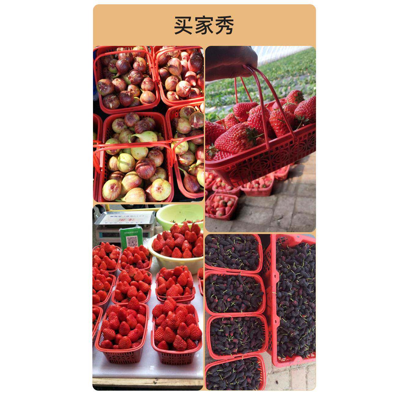 草莓桑篮采摘子塑料红色手提水果子杨梅篮筐樱63134678桃葚塑料篮