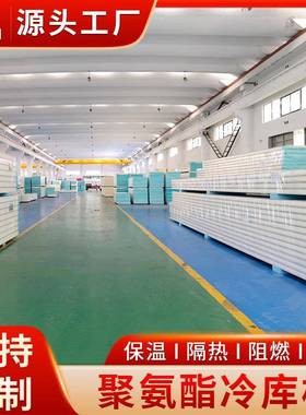 WDS聚氨保酯温板夹冷库内墙氨保温隔热建筑墙体芯板聚酯硬泡沫板