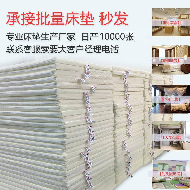 海绵床垫家用加厚高密度硬垫租房学生宿舍记忆棉软垫智高圆