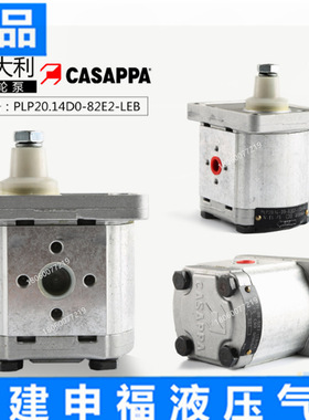 意大利CASAPPA凯斯帕齿轮泵PLP20.14 D0-8 P14 D/G 28P2 PLP20 10