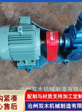 厂家供应YCB铸铁圆弧齿轮泵圆弧泵YCB3.3/0.6船用齿轮油泵