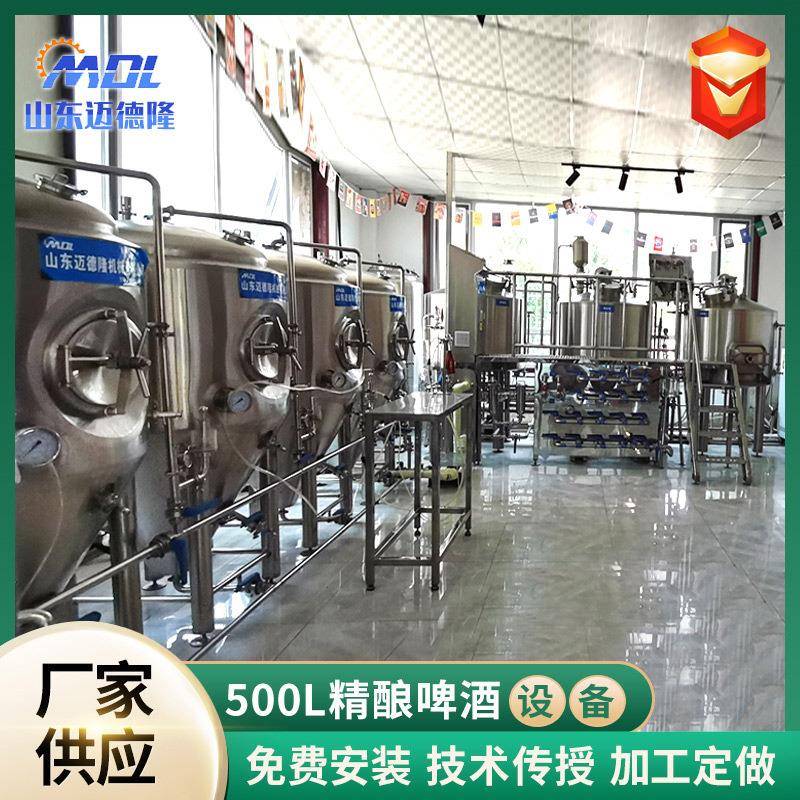 不锈钢葡萄酒发酵罐啤酒设备自酿啤酒机一体化酿酒发酵罐糖化罐