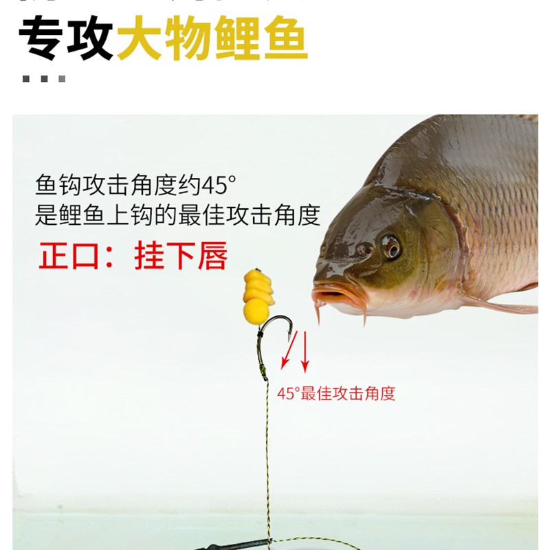 速发欧式反底钓组套装珠珠钓鱼欧鲤反离底钓浮珠线组鲤鱼反底