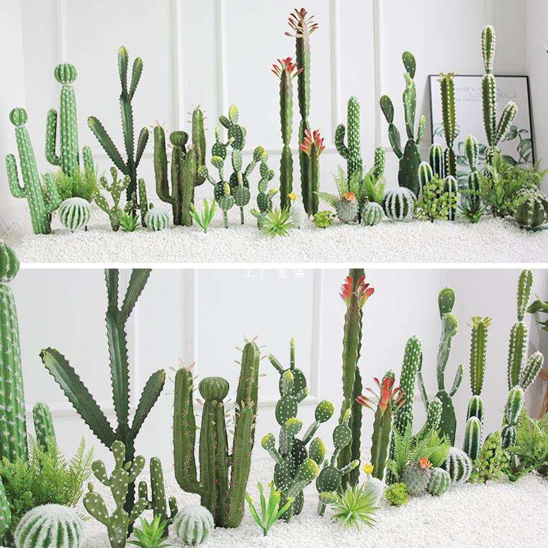 北欧仙人掌景观民宿咖啡店橱窗长方形设计沙漠绿植仙人柱造景