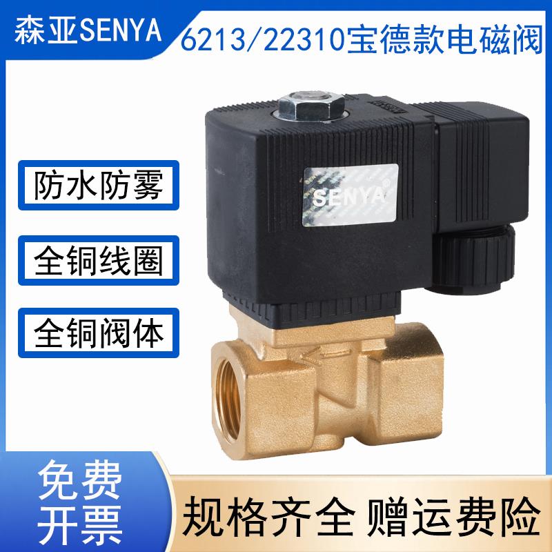 6213-04 4分宝德型电磁阀水阀气阀油阀SY22310-15AC220V2分4分1寸
