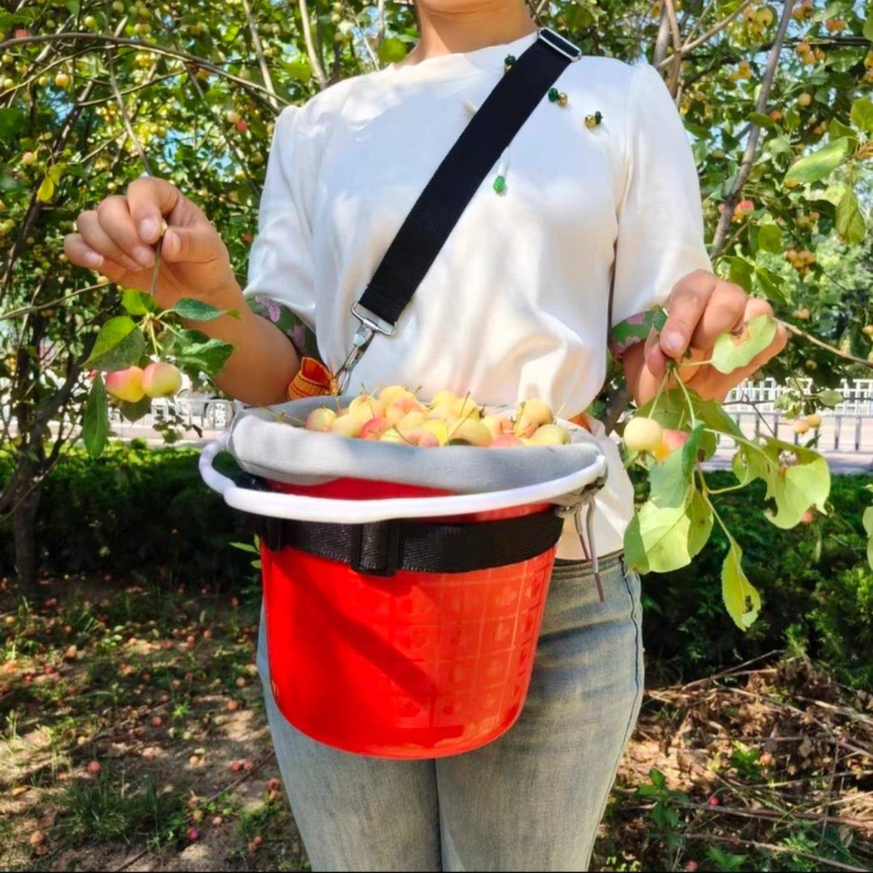 农用便携式摘果桶采摘软枣蓝莓樱桃工具采摘桶软装内衬采摘塑料桶