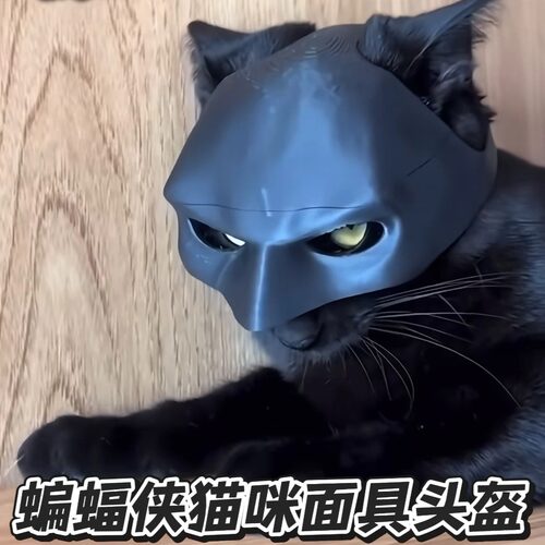 蝙蝠侠蜘蛛侠小丑猫头套