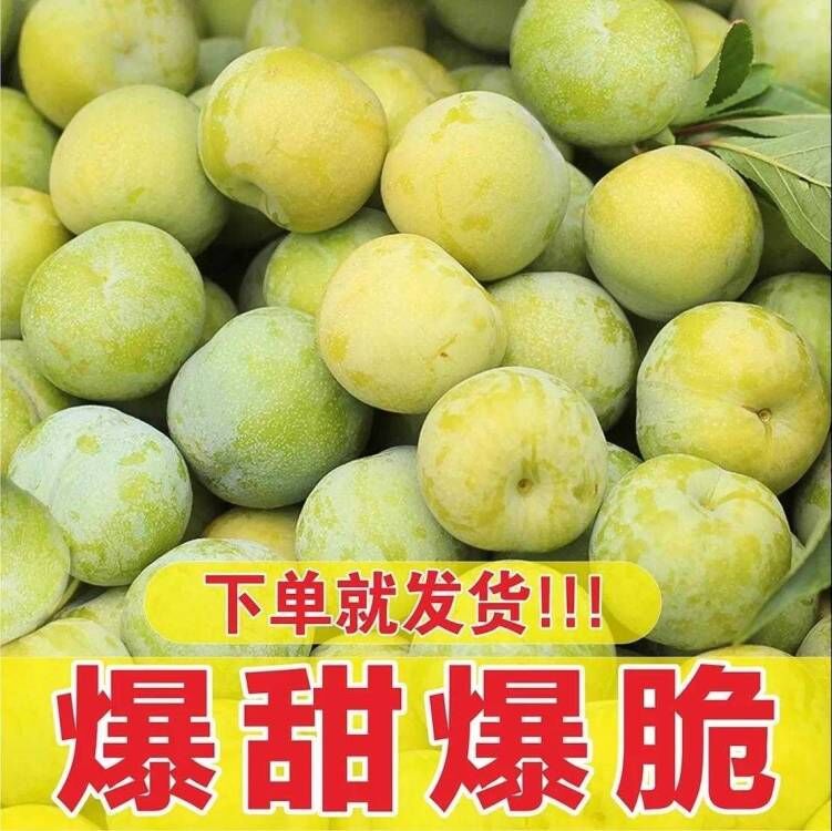 正宗四川五月脆红李脱骨李子应季新鲜茵红李半边红水果青脆酸甜李