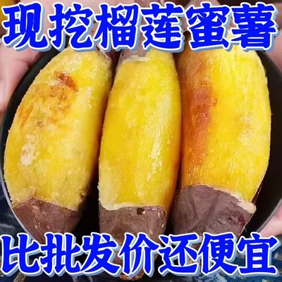 真宗黄心丝滑榴莲蜜薯9斤地瓜新鲜现挖现发番薯沙地农家自种红薯