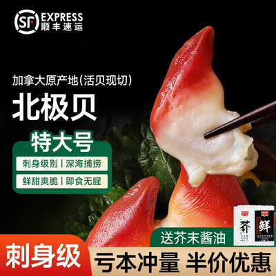 【高品质】新鲜北极贝刺身级切片