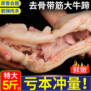 去骨牛蹄新鲜正宗黄牛牛蹄子整只带筋牛脚生鲜批发商用内蒙半熟蹄