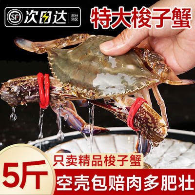 梭子蟹顺丰包邮次日达