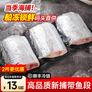 带鱼新鲜冷冻刀鱼中段新鲜冷冻特级大号东海小眼带鱼无冰商用