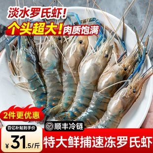 罗氏虾沼虾新鲜大虾速冻大头鲜虾巨型基围虾超大海鲜水产鲜活虾类