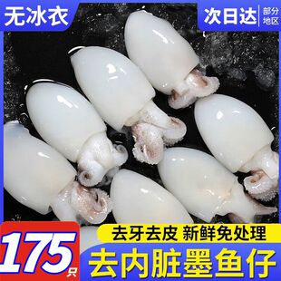 新鲜墨鱼仔冷冻小墨鱼生鲜冷冻迷你乌贼去皮去骨去内脏免清理冷冻