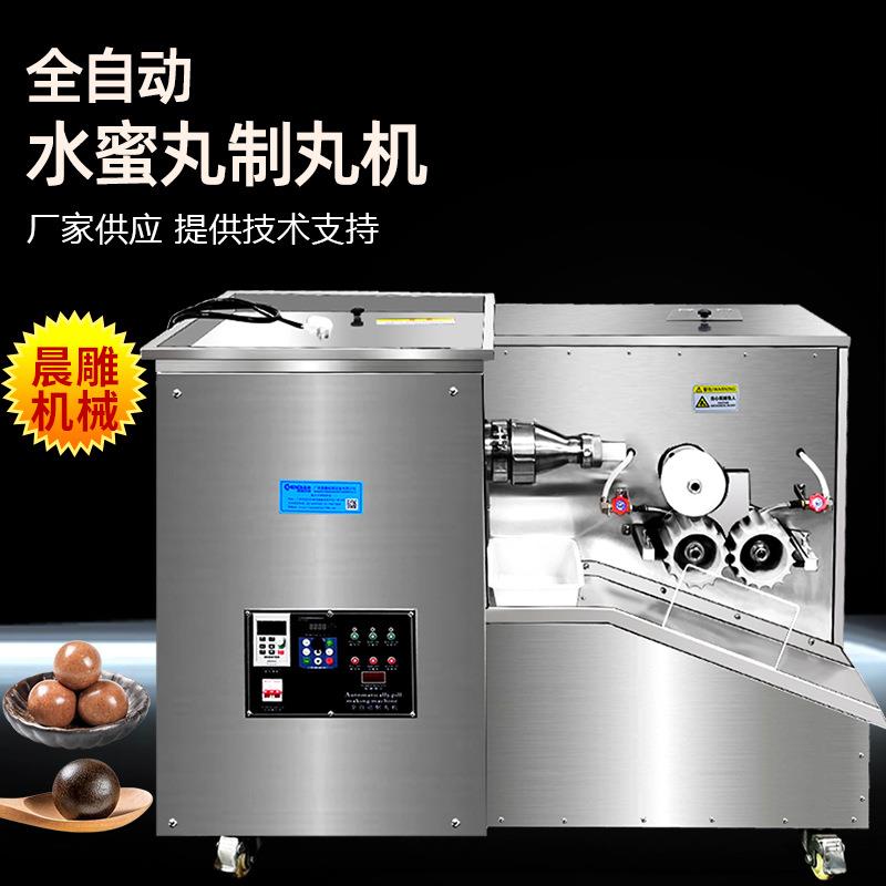 全自动大蜜丸药丸机 369克山楂丸制丸机 食品药厂制丸整套生产线