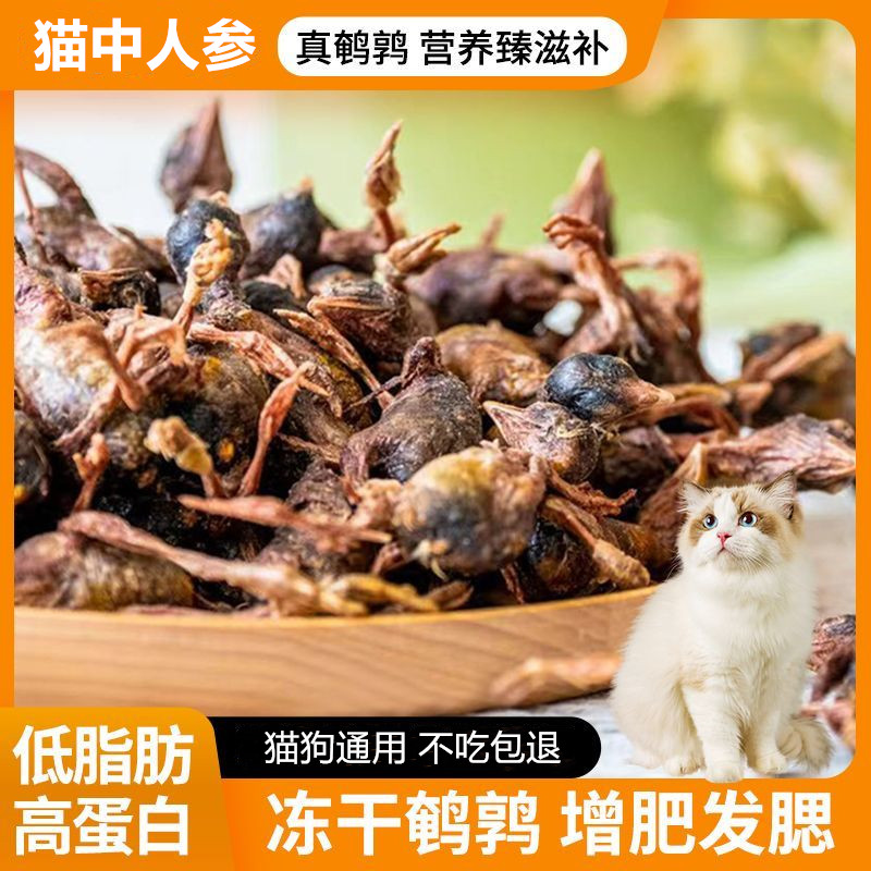鹌鹑冻干猫零食猫咪零食增肥发腮生骨肉磨牙营养宠物狗狗成幼猫粮