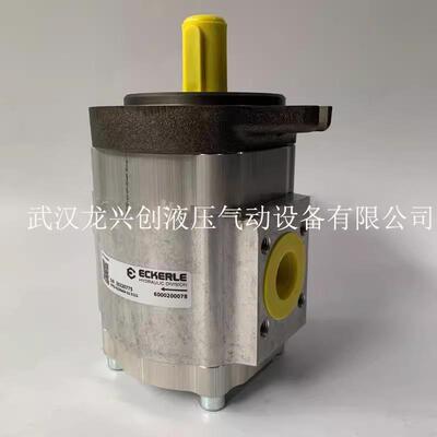 齿轮泵EIPS2-022RA04-12S111液压泵EIPS2-022RD04-12S111