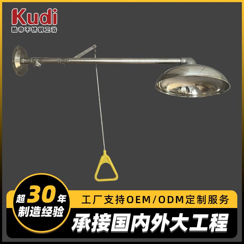 不锈钢304实验室洗眼器工业喷淋双口立式复合式冲淋耐用双喷头