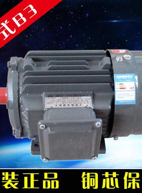 上海电动机Y2-800.75W四级1400转铜芯异步交流电机