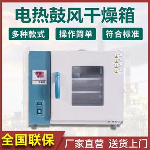 广东电热恒温鼓风干燥箱烘箱工业烤箱实验室高温烘干箱恒温电烤箱