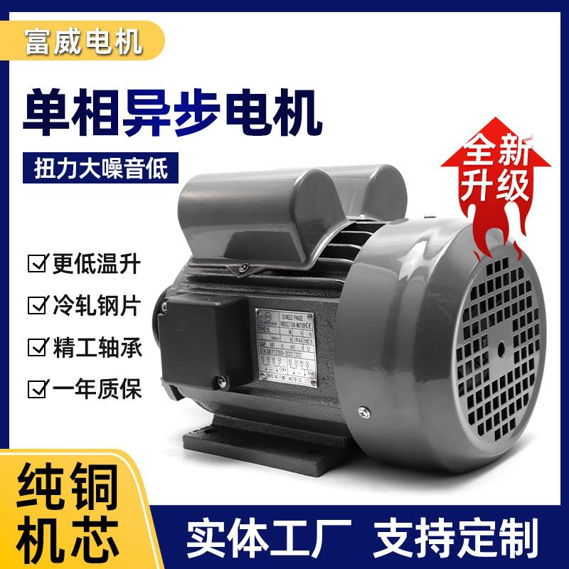 YL802-4单相国标双电容电机750W卧式电动机皮带轮软冰机用电机