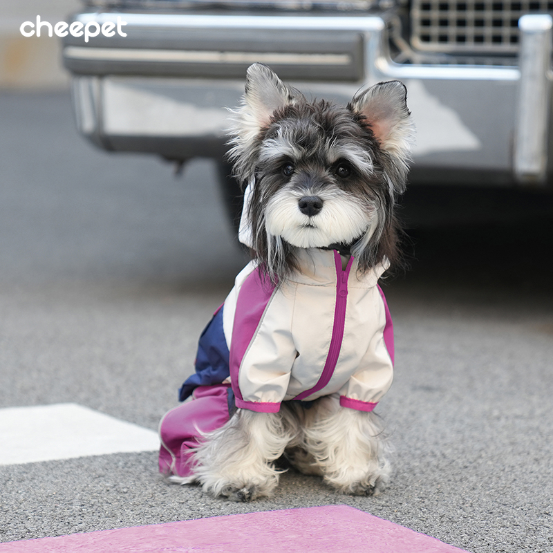 趣派宠物衣服四脚防尘裤子