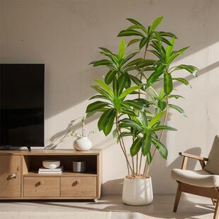 绿色植物人造大气落地式摆件巴西木材室内客厅假植物盆栽景观高雅